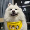 三只小白兔🐰's profile picture