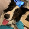 Profilbild von LT