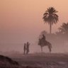 Фото профиля Mohamed