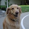 Dave Dinsmore profil fotoğrafı