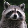 Florida profil fotoğrafı