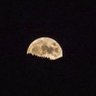 Holly Obrovac's profile picture