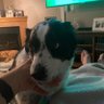 Profilbild von barnabus1960