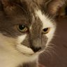 Profilbild von Cindy819