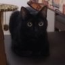 Rogerio's profile picture