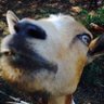 BRIOR's profile picture
