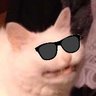 cat's profile picture