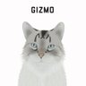 GIZMO 的头像