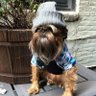 William Gray's profile picture