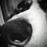 Profilbild von Juan_Cho