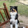 Bill's profile picture