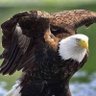 Peter's profile picture