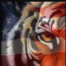 Tigerrulerofall 的头像
