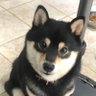 ãµã's profile picture