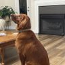steffinhill profil fotoğrafı