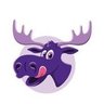 Profilbild von Thoe the Moose