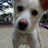 あきしゃん 的头像