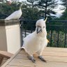 Gary Jeffery's profile picture