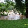 CANAL BRASIL NASCI.'s profile picture