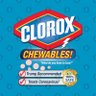 Clorox & Gin 的头像