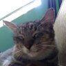 Profilbild von Regun