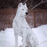 АlSh's profile picture