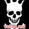 †•Sulfurico•†'s profile picture