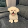 밥bap🍚 profil fotoğrafı