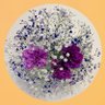 さや's profile picture