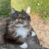 Profilbild von Rene