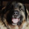 Cherylmm2 profil fotoğrafı