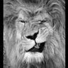 Фото профиля ➕➕➕TrumpWasRight💗Jesus💗Family💗USA