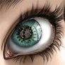 Sinaes profil fotoğrafı