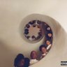 One & Only_Kunta profil fotoğrafı