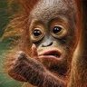 Geo's profile picture
