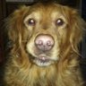 Donna's profile picture