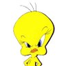 Tekov Yahoser's profile picture