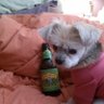 Debbie Finley's profile picture
