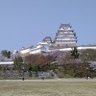 ロナウド 的头像