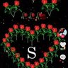 Фото профиля Y OLGUN