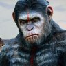 1Monkey🙈Don’t🙉Stop🙊No🇺🇸Show's profile picture