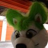 Profilbild von mint cookie husky