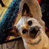 Carolyn's profile picture