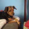 Romulo Eduardo's profile picture
