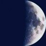 Гаврош Петрович Чегевара 的头像
