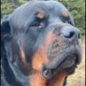 Profilbild von Alexandrina