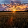 Фото профиля fôr