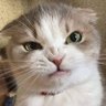 Kyla's profile picture