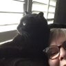Luna’s Mom's profile picture