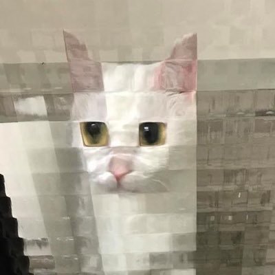 워라's profile picture